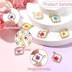 10 шт. подвески из эпоксидной смолы из цинкового сплава 5 цветов&nbsp;FIND-CJ0004-93