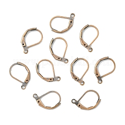 Ottone risultati leverback orecchino&nbsp;EC223-R