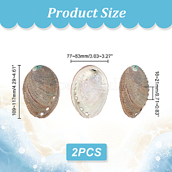 Decorazione del display in conchiglia di abalone naturale&nbsp;DJEW-WH0015-105