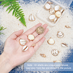 20 шт. 5 подвески в виде ракушек с гальваническим покрытием&nbsp;SSHEL-SC0001-17