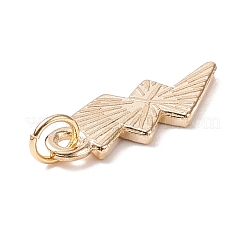 Подвески из эмали и сплава&nbsp;PALLOY-JF01654