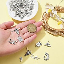 Подвески из сплава в тибетском стиле&nbsp;FIND-CJ0001-60