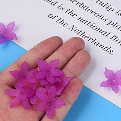 Прозрачные акриловые бусины&nbsp;MACR-S373-127-D07