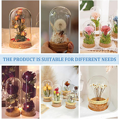 Стеклянный купол&nbsp;AJEW-WH0505-27