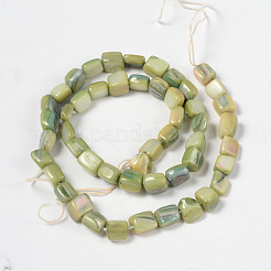 Shell perle naturali fili&nbsp;PBB073Y