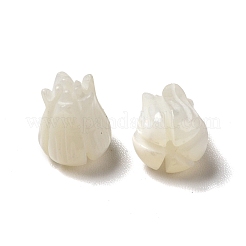 Бусины из натуральных трохоидных/трохус ракушек BSHE-E026-03