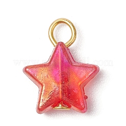 Прозрачные акриловые подвески&nbsp;PALLOY-JF03549