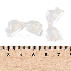 Transparente Acryl Perlen&nbsp;LS-TACR-F009-01B