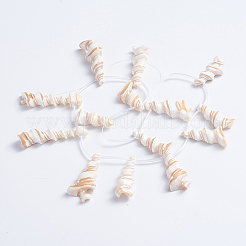 Fili di perle di conchiglia trochid naturale / trochus&nbsp;SSHEL-L016-15