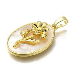 Colgantes de flor de nacimiento con concha pavé de latón&nbsp;FIND-I040-04D