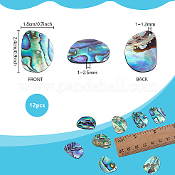 12 шт. подвески из натуральной ракушки пауа&nbsp;SHEL-PH0001-66