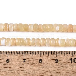 Natürliche Trochidschale / Trochusschalenperlenstränge&nbsp;BSHE-T014-54B