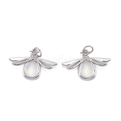 Латунь стекло кулоны&nbsp;KK-C223-01P