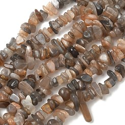 Нити натуральных бусин из нескольких лунных камней&nbsp;G-B160-A04-01