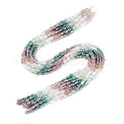 Stränge aus galvanisierter Jade-Imitation und undurchsichtigen sowie transparenten Glasperlen&nbsp;EGLA-Q135-4x6MM-01D