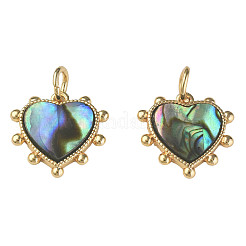 Подвески из синтетической раковины морского ушка/пауа&nbsp;X-KK-N233-216