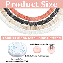 4 hebra de cuentas de concha natural de 4 colores&nbsp;SSHEL-PA0001-04