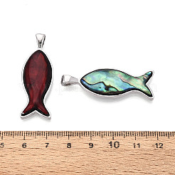 Подвески из сплава и окрашенных натуральных раковин морского ушка&nbsp;PALLOY-T093-06M