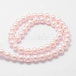 Shell-Perle Perle Stränge&nbsp;X-BSHE-L025-06-8mm