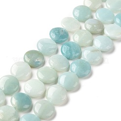 Fili di perline amazonite naturale&nbsp;G-C238-09