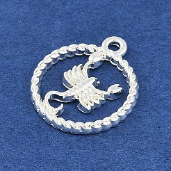 Pendentifs en alliage à douze constellations&nbsp;PALLOY-Q006-01L-S