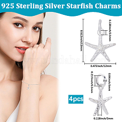4 pieza 925 dijes de estrella de mar de plata esterlina&nbsp;STER-BBC0008-39