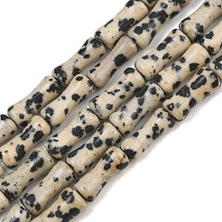 Dalmata naturale perline di diaspro fili&nbsp;GG-CBAEB22-A03-01