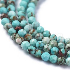Fili di perline di magnesite naturale&nbsp;TURQ-F017-01A