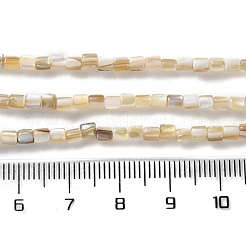 Нити бусин из натуральных пресноводных ракушек&nbsp;X-SSHEL-B002-17