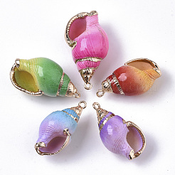 Аэрозольная краска и гальванические спиральные подвески&nbsp;X-SHEL-N026-11