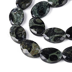 Натуральные пряди камбабы из яшмы&nbsp;G-S354-13x18-A03