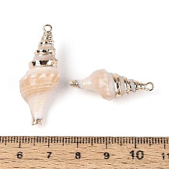 Galvanische natürliche Spiralschalenanhänger&nbsp;SSHEL-T018-03
