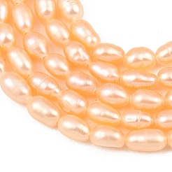 Нити из натурального культивированного пресноводного жемчуга&nbsp;PEAR-F020-26B