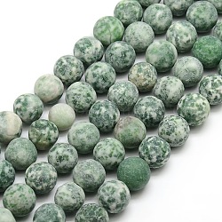 Tache verte naturelle givrée jasper brins de perles rondes, 10mm, Trou: 1mm, Environ 37~39 pcs/chapelet, 14.9~15.6 pouce