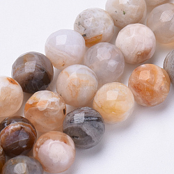 Natural Bamboo Leaf Agate Beads Strands, Faceted, Round, 8mm, Hole: 1.2mm, about 45pcs/strand, 15.3 inch