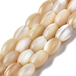 Fili di perle di conchiglia trochid naturale / trochus, ovale, Burlywood, 5x3mm, Foro: 0.7 mm, circa 79~80pcs/filo, 15.94 pollice (40.5 cm)