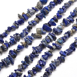 Lapis naturali di chip lazuli fili di perline, 5~8x5~8mm, Foro: 1 mm, circa 31.5 pollice