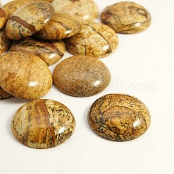 Half Round/Dome Picture Jasper Gemstone Cabochons, Yellow, about 26mm in diameter, 6~7mm thick