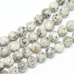 Chapelets de perles en jaspe sésame naturel / jaspe kiwi, ronde, fumée blanche, 6mm, Trou: 1mm, Environ 64~66 pcs/chapelet, 15.08~15.35 pouce (38.3~39 cm)