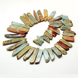 Chips Natural Aqua Terra Jasper Beads Strands, Dyed, 22~58x9~10x5~6mm, Hole: 1mm, 15.7 inch, about 5strands/kg