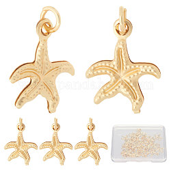 Beebeecraft 30Pcs Brass Charms, Long-Lasting Plated, Starfish, Real 18K Gold Plated, 14.5x12x1.5mm, Hole: 2.5mm