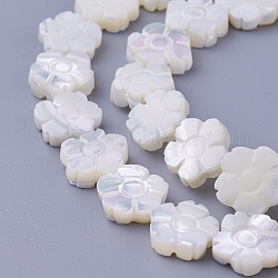 Chapelets de perles de coquillage, fleur, 11~11.7x3~4.5mm, Trou: 0.7mm, Environ 37 pcs/chapelet, 16.14 pouce (41 cm)