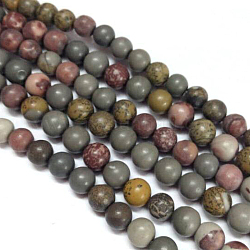 Fili di perline di diaspro naturale dendritico, tondo, colore misto, 8mm, Foro: 1 mm, circa 49pcs/filo, 15.4 pollice