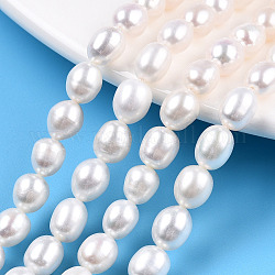 Fili di perle di perle d'acqua dolce coltivate naturali, riso, colore conchiglia, 7.3~8.3x5.9~6.6mm, Foro: 0.7~0.8 mm, circa 45~50pcs/filo, 14.17 pollice (36 cm)