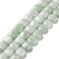 Brins de perles de jade myanmar naturel, carrée, 11x10.5x5~5.5mm, Trou: 1.2mm, Environ 38 pcs/chapelet, 15.75 pouce (40 cm)