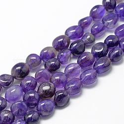 Chapelets de perles en améthyste naturelle, Grade a, ovale, 8~15x7~12x4~12mm, Trou: 1mm, Environ 30~45 pcs/chapelet, 15.7 pouce