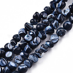 Chapelets de perles de coquille de trochid / trochus coquille, teinte, pépites, bleu de Prusse, 7~12x5~10x4~8mm, Trou: 1mm, Environ 60~64 pcs/chapelet, 15.16 pouce ~ 15.75 pouces (38.5~40 cm)