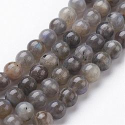 Chapelets de perles en labradorite naturelle, ronde, 4mm, Trou: 0.5mm, Environ 95 pcs/chapelet, 15.3 pouce (390 mm)