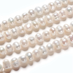 Hebras de perlas de agua dulce cultivadas naturales, rerondana plana, blanco antiguo, 6~8x5~6mm, agujero: 0.6 mm, aproximamente 31 pcs / cadena, 6.69 pulgada (17 cm)