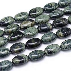 Chapelets de perles de jasper kambaba naturel, Ovale Plat, 14x10x6mm, Trou: 1mm, Environ 29 pcs/chapelet, 15.7 pouce